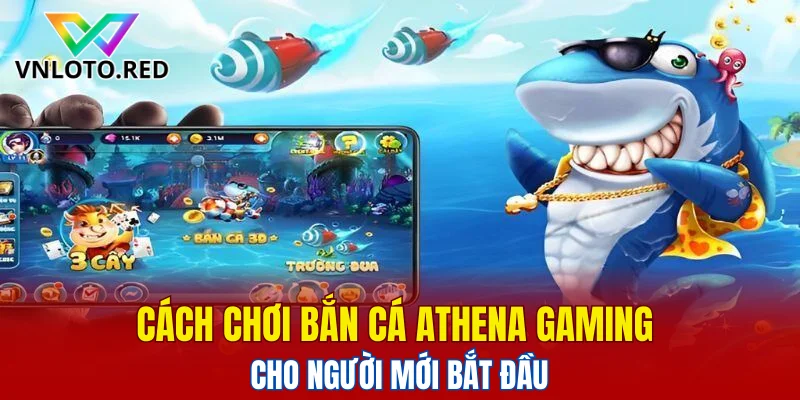 Bắn Cá Athena Gaming – Trò Chơi Giải Trí Đỉnh Cao 2025 5 Cách chơi bắn cá Athena Gaming cho người mới bắt đầu