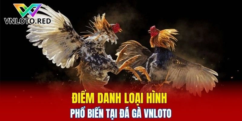 Điểm danh loại hình phổ biến tại đá gà Vnloto