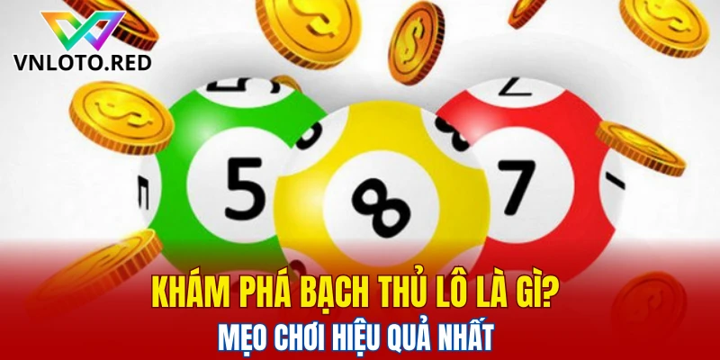 bạch thủ lô là gì