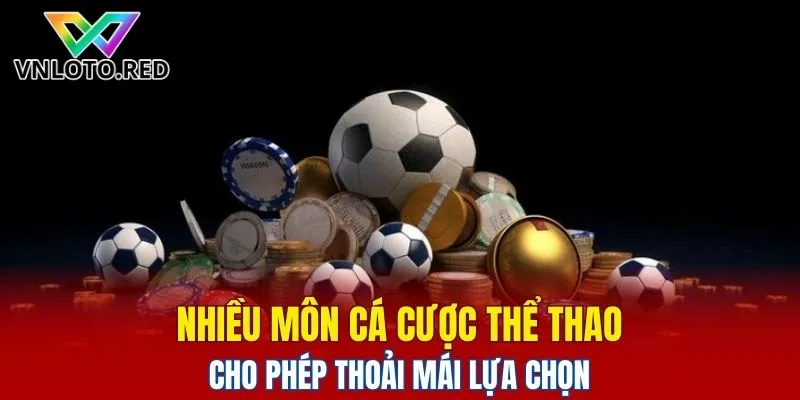 Sảnh BTI – Lựa Chọn Hàng Đầu Cho Bet Thủ Cược Thể Thao 5 Nhiều môn cá cược thể thao cho phép thoải mái lựa chọn