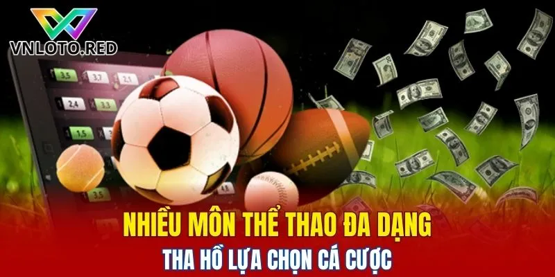 Nhiều môn thể thao đa dạng, tha hồ lựa chọn cá cược