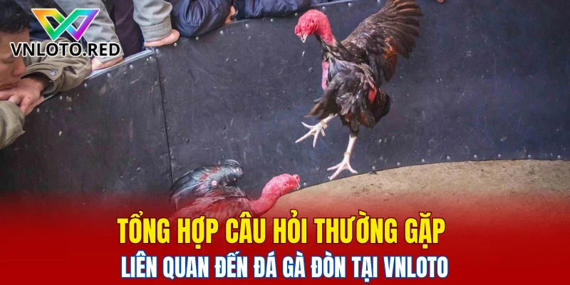 Tổng hợp câu hỏi thường gặp liên quan đến đá gà đòn tại Vnloto